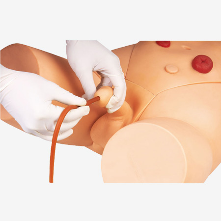 H17E高級男性導(dǎo)尿模型.jpg
